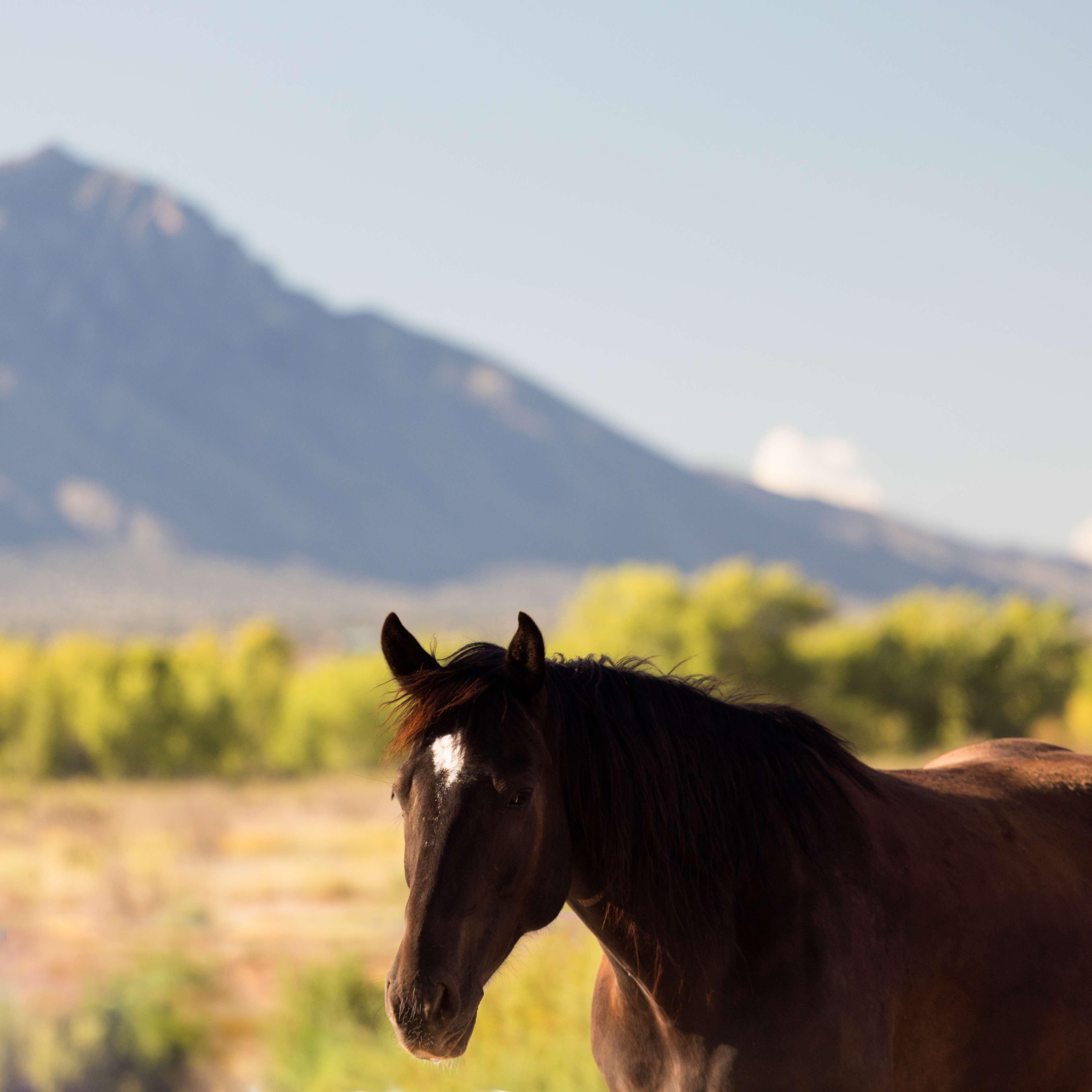 Hyatt Regency Tamaya South Santa Fe Santa Ana Pueblo Zewnętrze zdjęcie